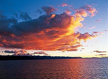 自制虚拟主播主题游戏《HoloCure》即将登陆Steam